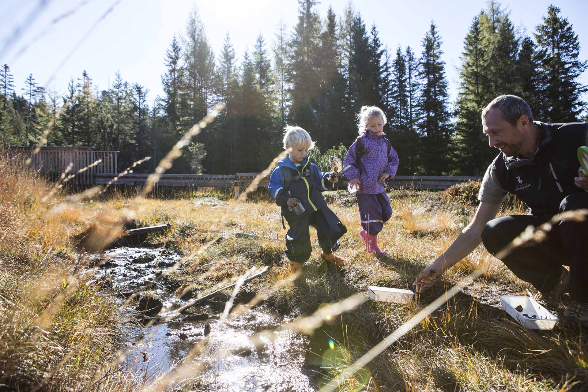 Kinder spielen im Moor